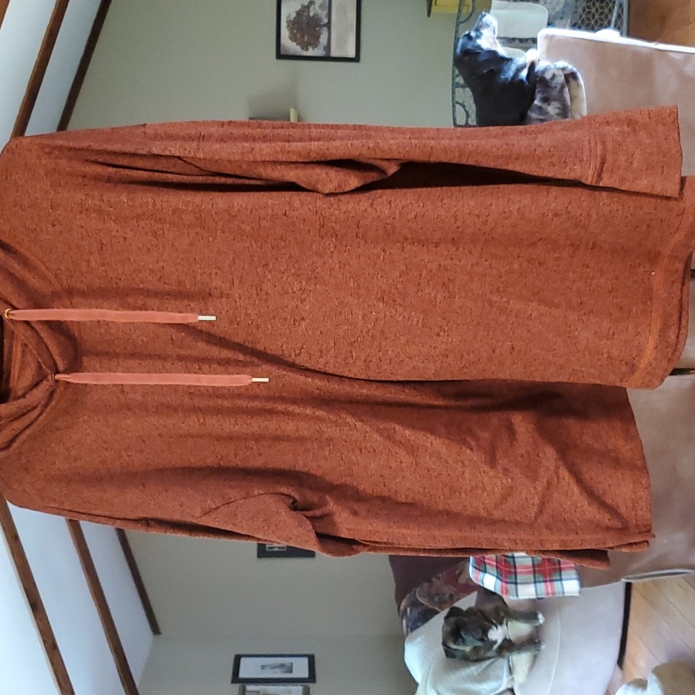Brown/rust/orange color maternity/nursing swearshirt